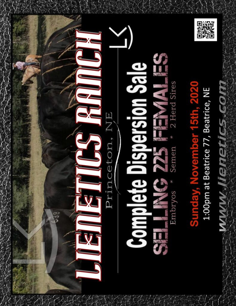Lienetics Cattle Company - 2020 Fall Dispersal Bull Sale