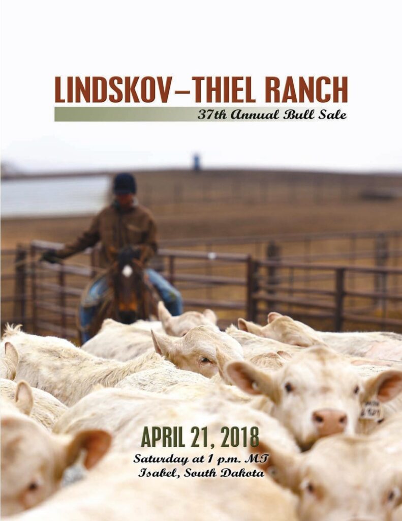 Lindskov-Thiel Ranch - 2018 Bull Sale