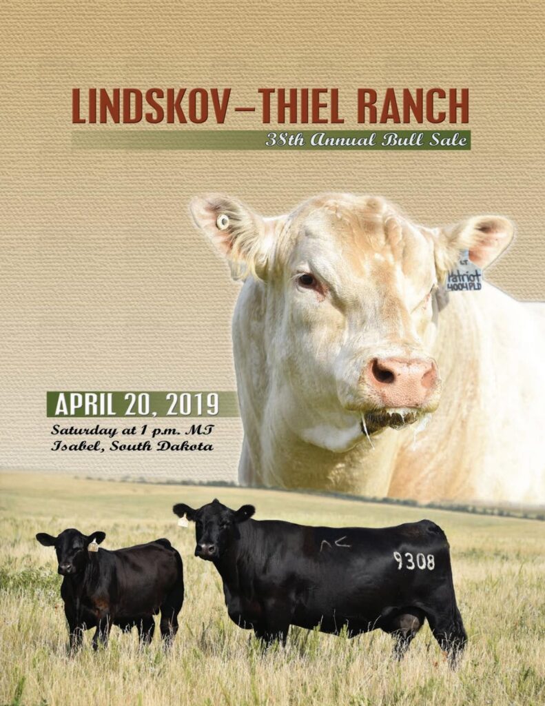 Lindskov-Thiel Ranch - 2019 Bull Sale