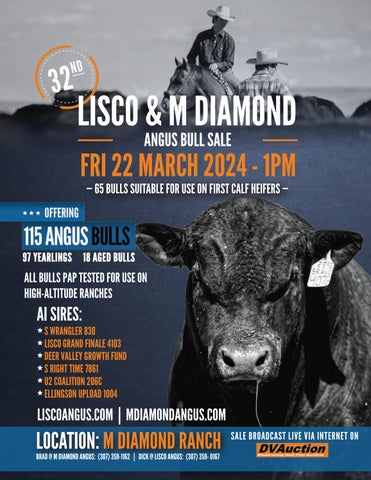 Lisco & M Diamond Angus Bull Sale