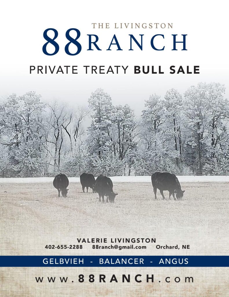 Livingston 88 Ranch - 2019 Sale