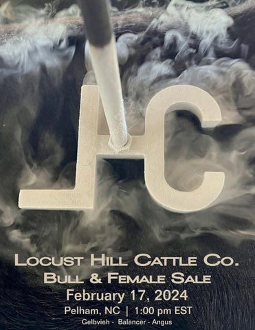 Locust Hill Cattle Co. Bull & Female Sale