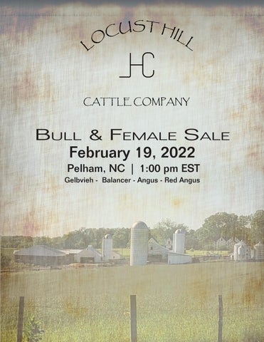 Locust Hill Cattle Company - 2022 Spring Sale