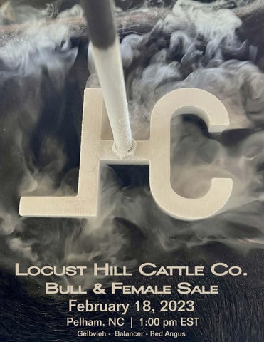 Locust Hill Cattle Company - 2023 Spring Sale