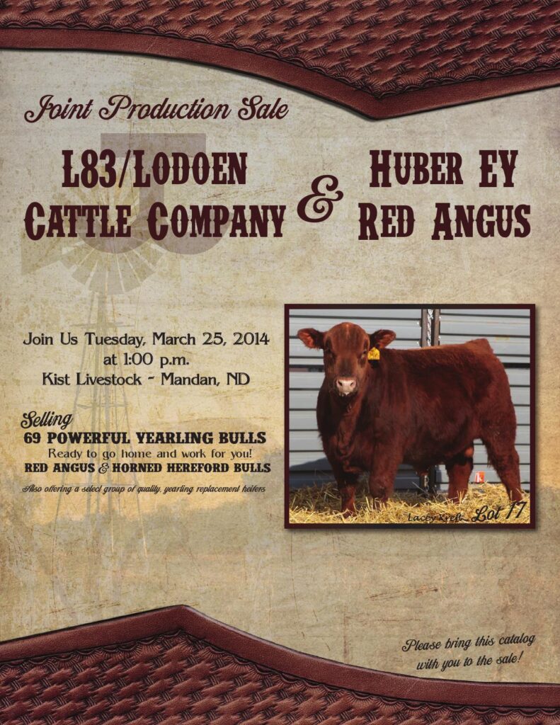 Lodoen Cattle Co / Huber EY Red Angus - 2014 Joint Production Sale