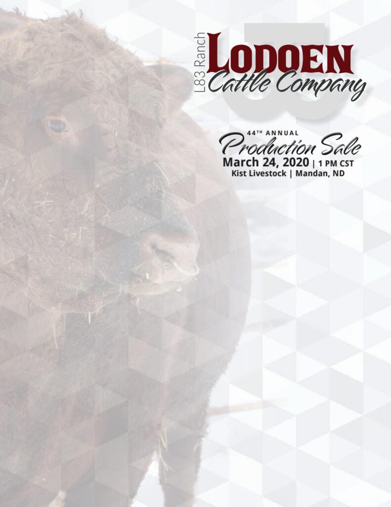 Lodoen Cattle Company - 2020 Sale
