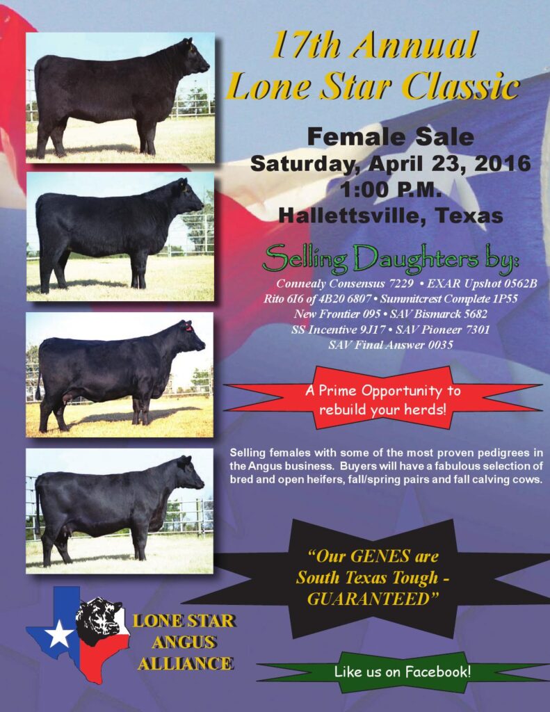 Lone Star Angus Alliance - 2016 Spring Female Sale