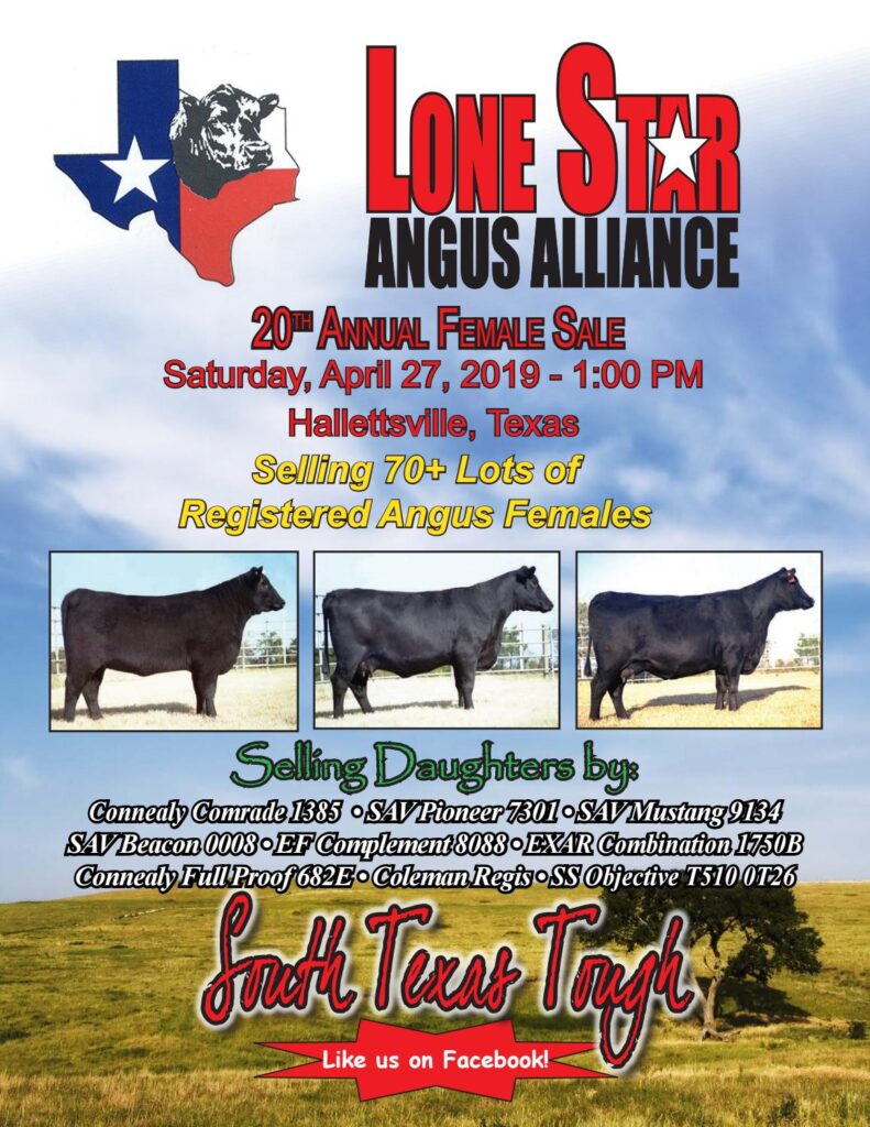 Lone Star Angus Alliance - 2019 Female Sale
