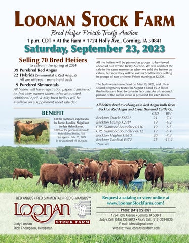 Loonan Stock Farm - 2023 Private Treaty Mailer