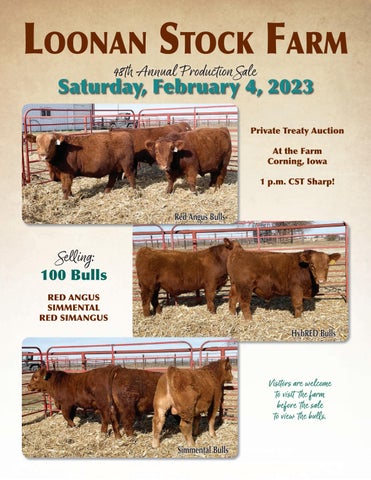 Loonan Stock Farm - 2023 Spring Sale