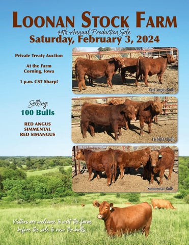 Loonan Stock Farm 49th Annual Production Sale