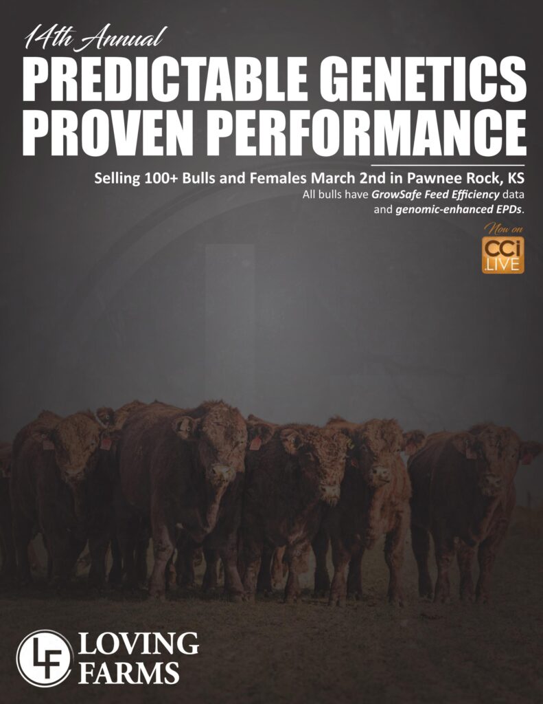 Loving Farms 14th Annual Production Sale