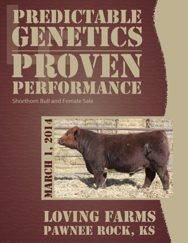 Loving Farms - 2014 Shorthorn Bull and Female Sale