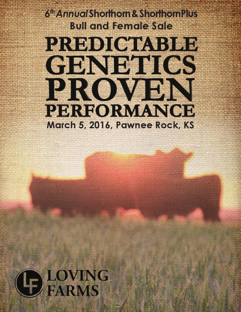 Loving Farms - 2016 Bull Sale