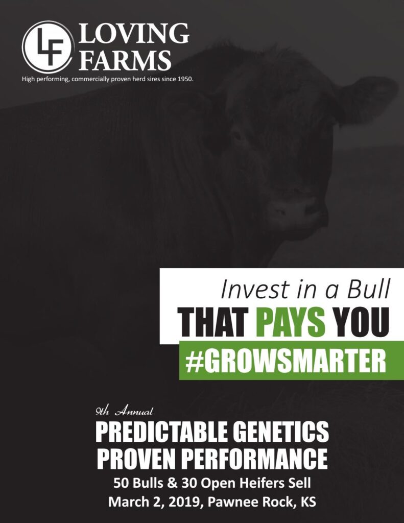 Loving Farms - 2019 Bull Sale