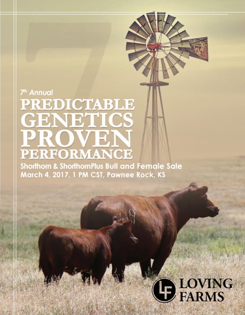 Loving Farms - 7th Annual Shorthorn & ShorthornPlus Bull and Female Sale