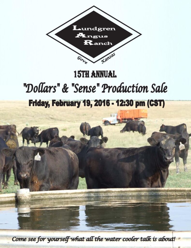 Lundgren Angus Ranch - 15th Annual Production Sale