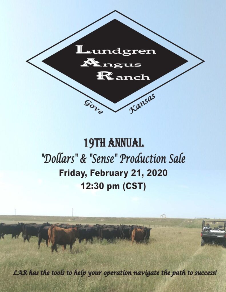 Lundgren Angus Ranch - 2020 Sale