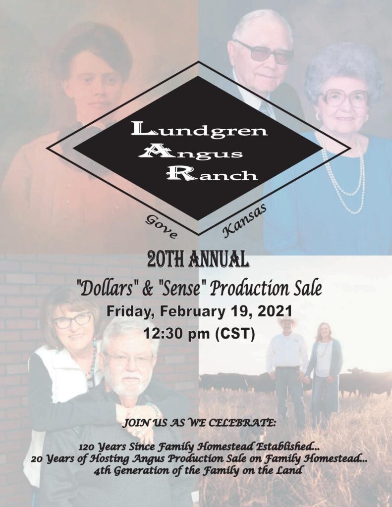 Lundgren Angus Ranch - 2021 Spring Sale