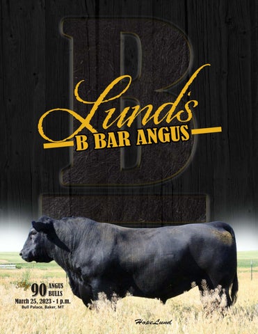 Lund's B Bar Angus - 2023 Spring Sale