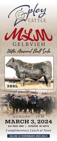 MLM Gelbvieh 26th Annual Bull Sale