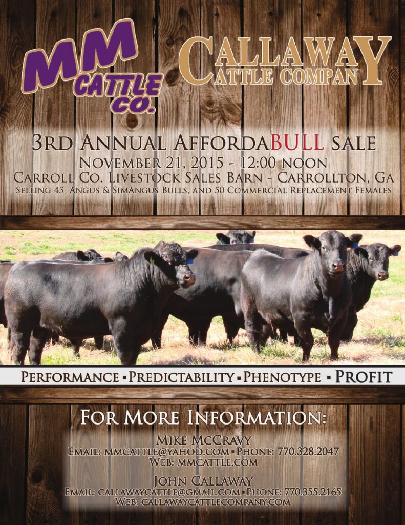 MM Cattle Co. and Collaway Cattle Co. - 3rd Annual AffordaBULL Sale