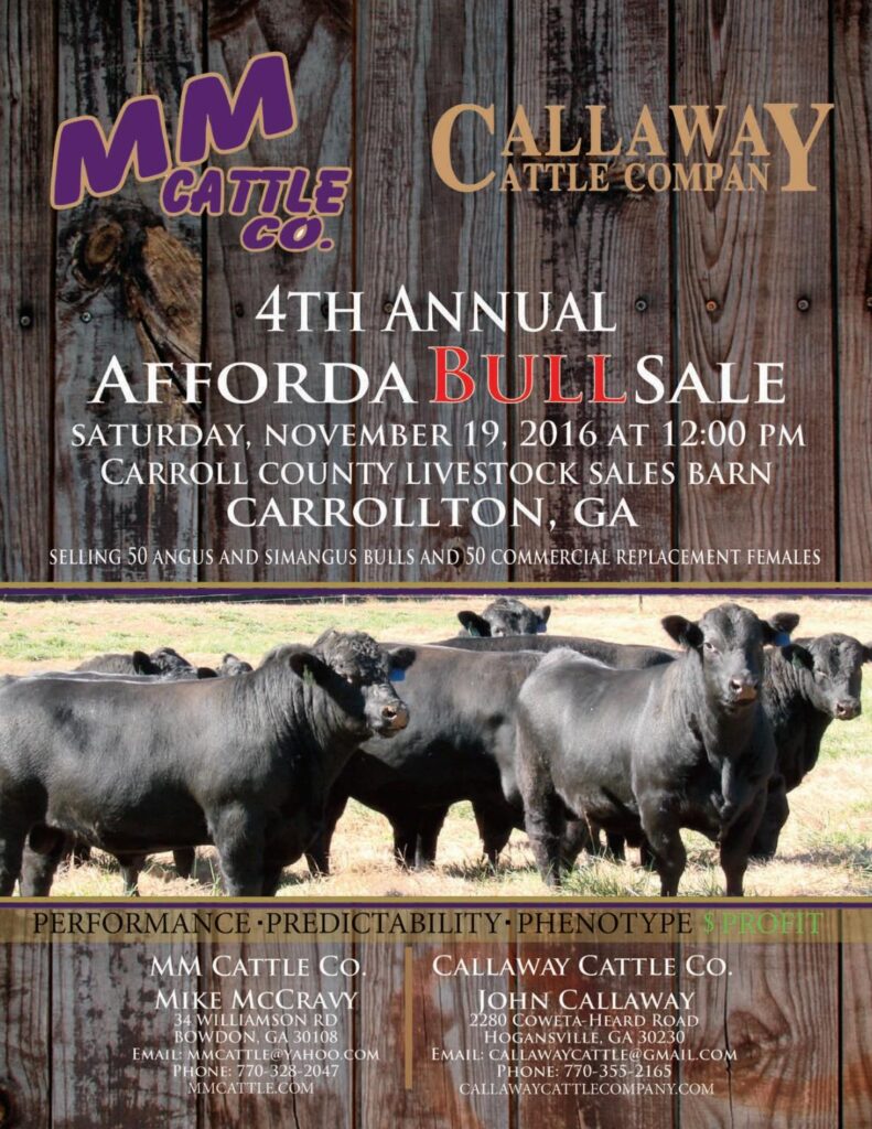 MM Cattle and Callaway Cattle Company - 4th Annual AffordaBULL Sale