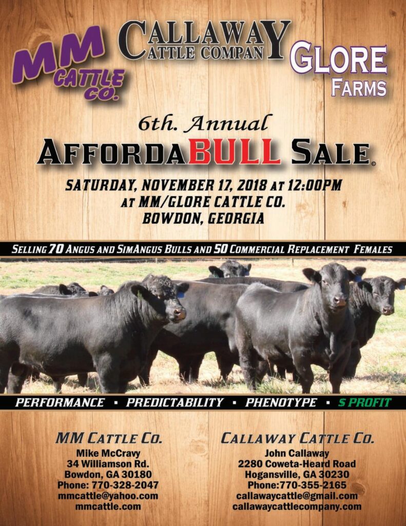 MM/Callaway Cattle Company - 2018 Bull Sale