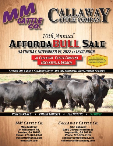 MM/Callaway Cattle Company - 2022 Fall Bull Sale