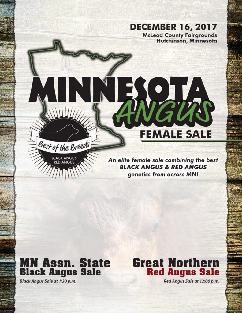 MN Angus Association - 2017 Best of Both Breeds Female Sale