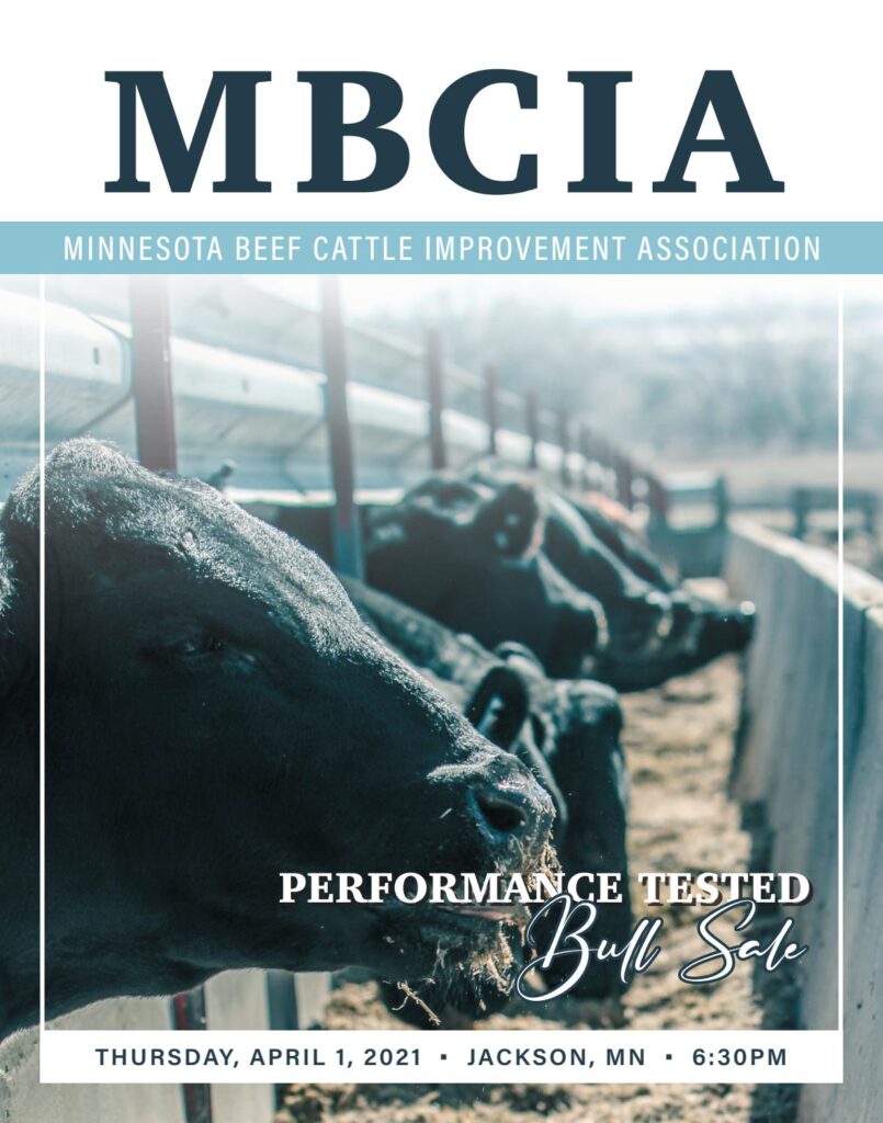 MN BCI - 2021 Spring Sale