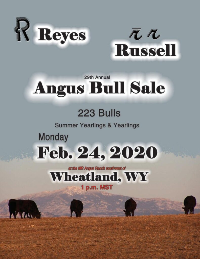 MR Angus Ranch - 2020 Bull Sale