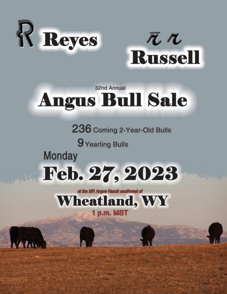 MR Angus Ranch - 2023 Spring Bull Sale