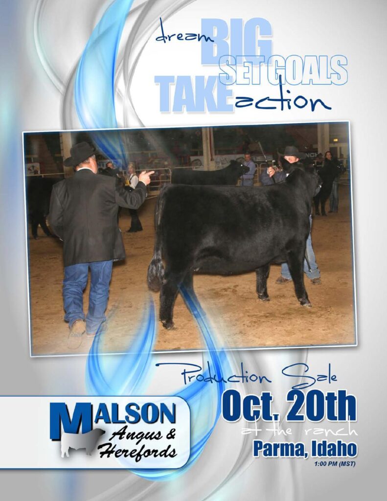Malson Angus and Herefords - 2013 Production Sale