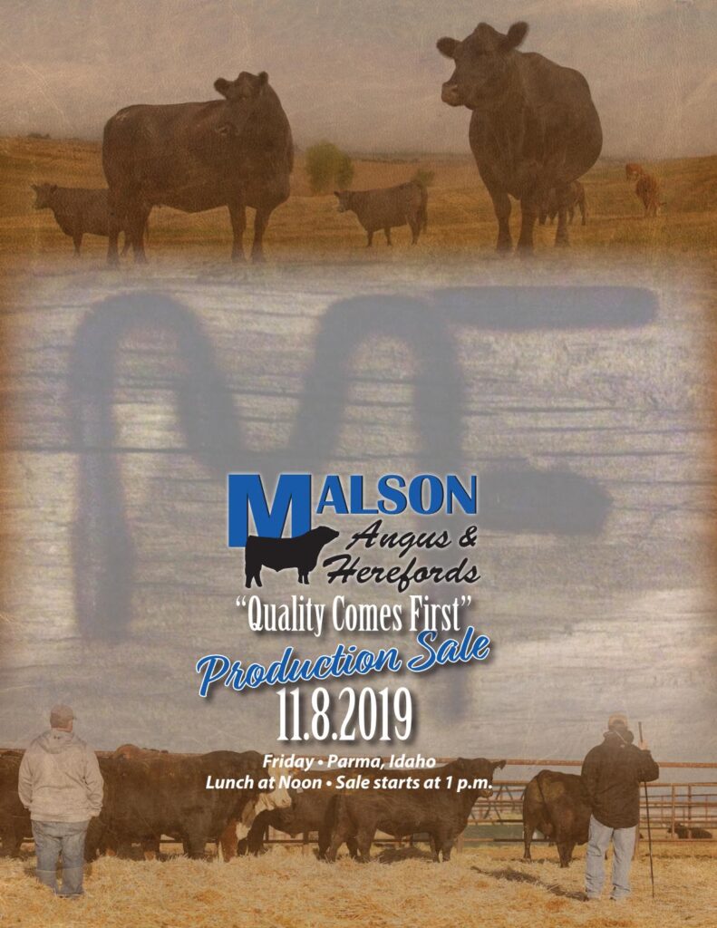 Malson Angus and Herefords - 2019 Bull Sale