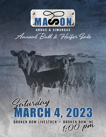 Mason Angus and SimAngus - 2023 Spring Sale