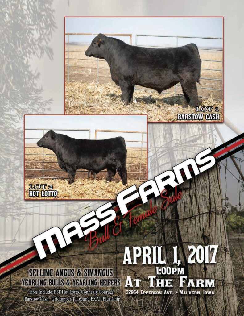 Mass Farms - 7th Annual Production Sale
