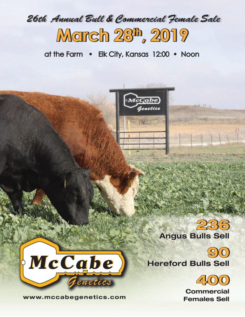 McCabe Genetics - 2019 Sale