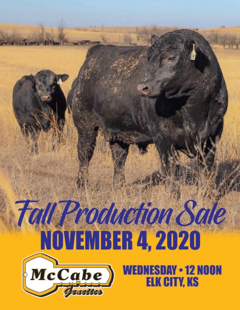 McCabe Genetics - 2020 Fall Production Sale