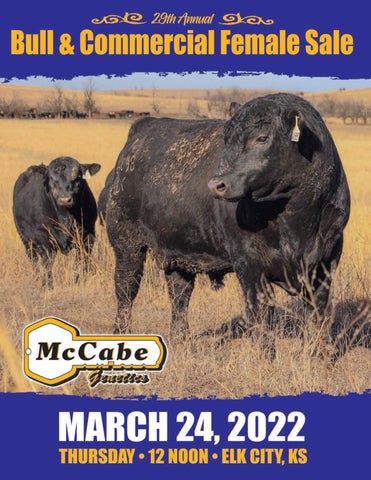 McCabe Genetics - 2022 Spring Production Sale