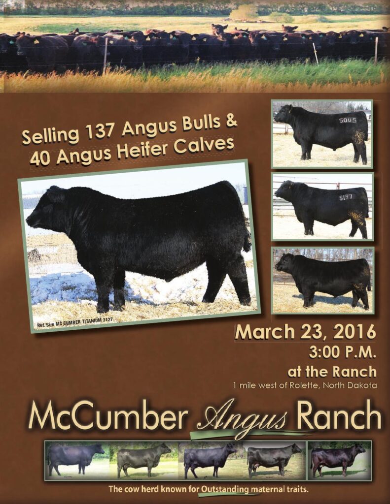 McCumber Angus Ranch - 2016 Production Sale