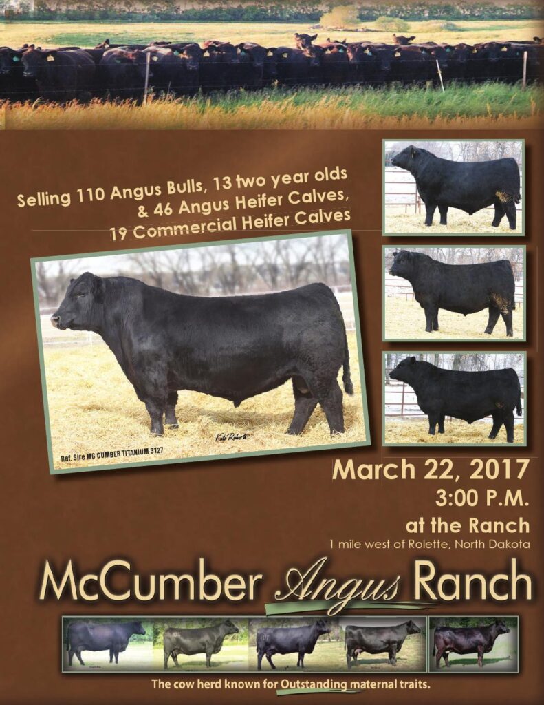 McCumber Angus Ranch - 2017 Bull Sale