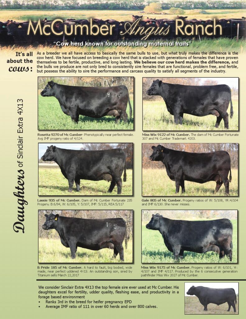 McCumber Angus Ranch - 2017 Newsletter