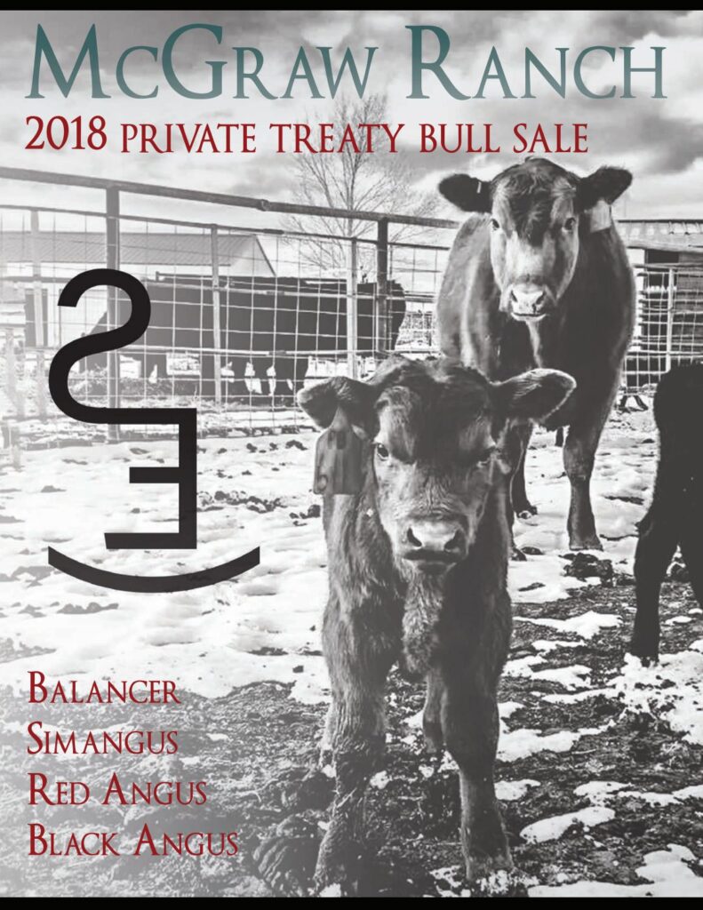 McGraw Ranch - 2018 Private Treaty Bull Sale