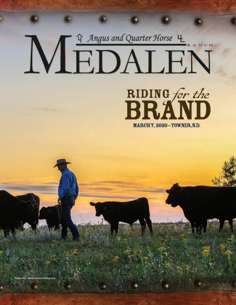 Medalen Angus and Quarter Horse - 2020 Sale