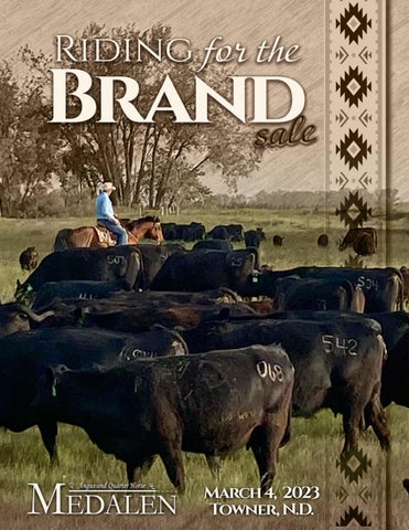 Medalen Ranch - 2023 Spring Sale