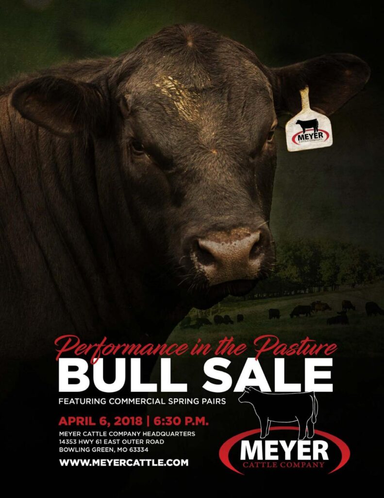 Meyer Cattle Company - 2018 Bull Sale
