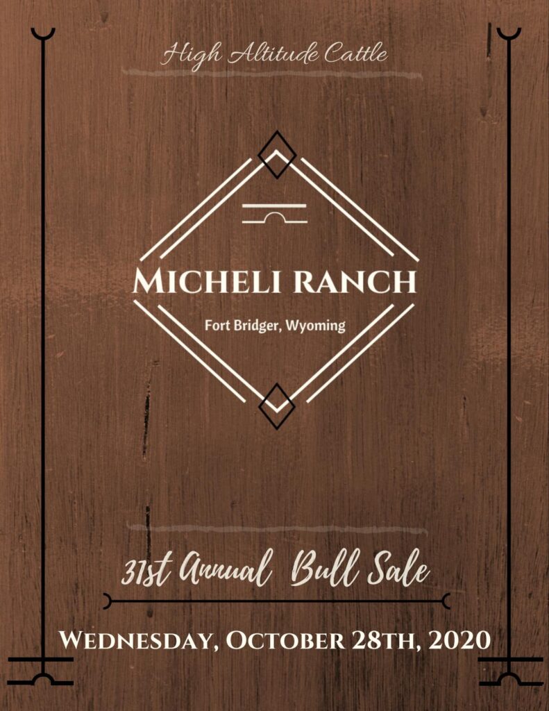 Micheli Ranch - 2020 Fall Sale