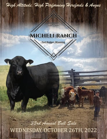 Micheli Ranch - 2022 Fall Sale