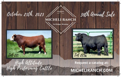 Micheli Ranch - 2023 Fall Sale Mailer